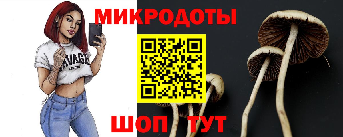Псилоцибиновые грибы Magic Shrooms  купить наркотики сайты  Вход с VPN  Лесозаводск  Псилоцибиновые грибы мицелий 